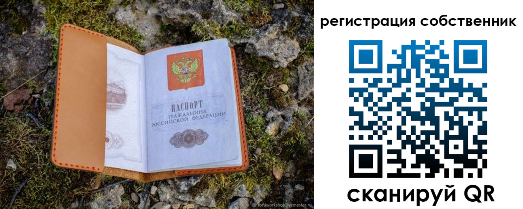 прописка поиск в Чайковском